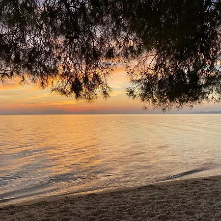 Dacha Na - Summer By The Sea