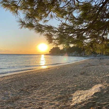 Dacha Na - Summer By The Sea *