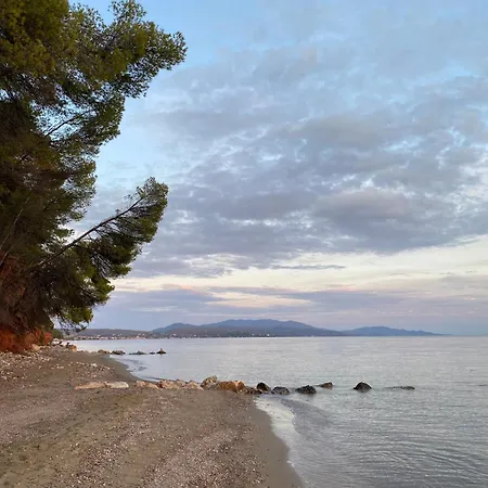 Dacha Na - Summer By The Sea 펜션