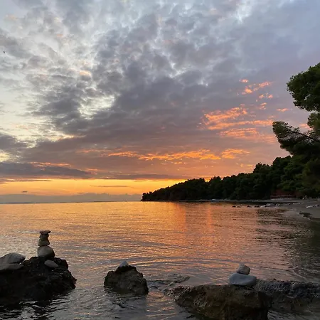 Dacha Na - Summer By The Sea