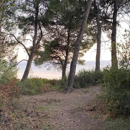 Dacha Na - Summer By The Sea * 니키티