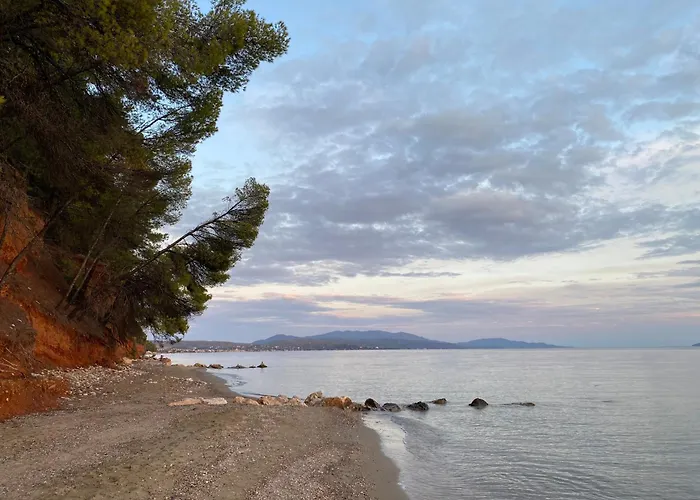 Dacha Na - Summer By The Sea Tatil Evi