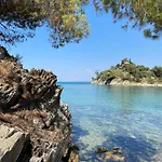 Dacha Na - Summer By The Sea