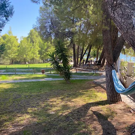 Dacha Na - Summer By The Sea Holiday home *