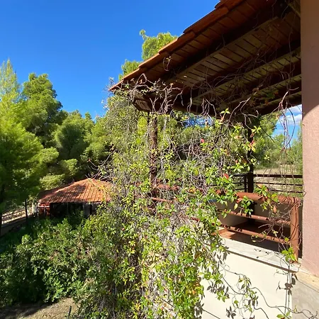 Dacha Na - Summer By The Sea