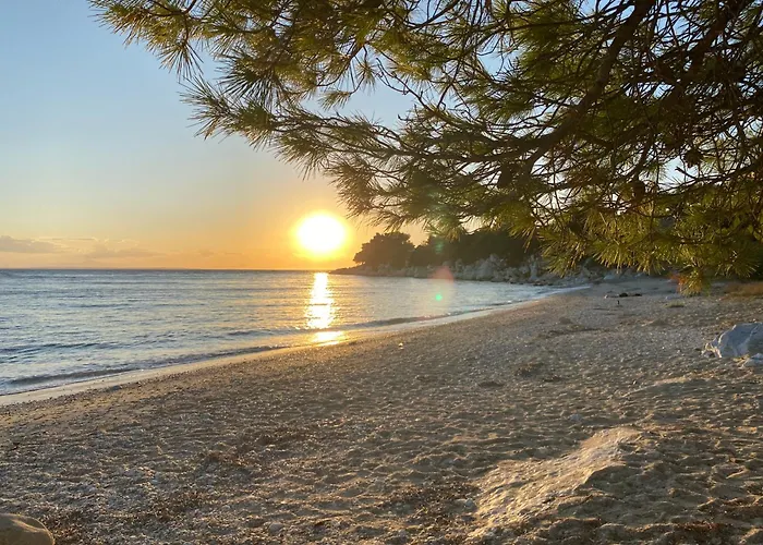 Dacha Na - Summer By The Sea *