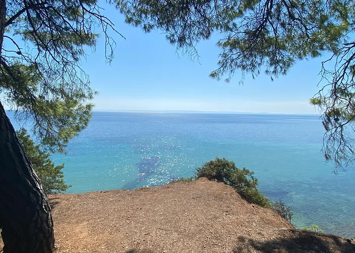 Dacha Na - Summer By The Sea