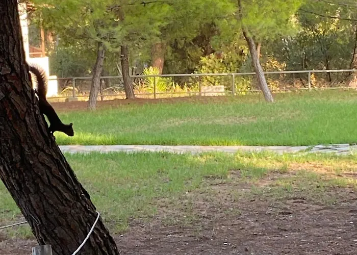 Dacha Na - Summer By The Sea Nikiti (Sithonia)