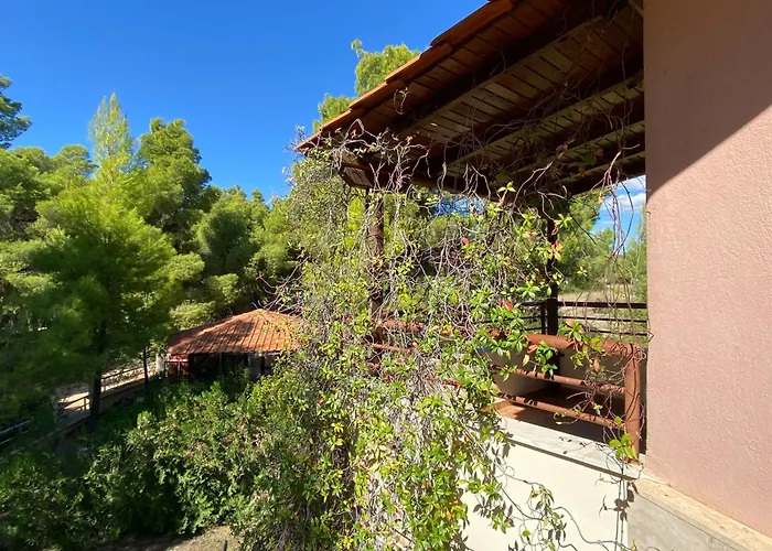 Dacha Na - Summer By The Sea