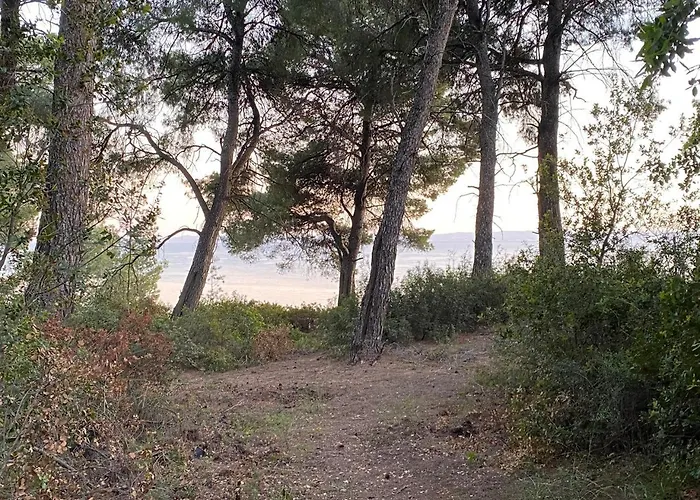 Dacha Na - Summer By The Sea * Nikiti (Sithonia)