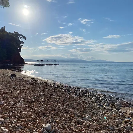 Vakantiehuis Dacha Na - Summer By The Sea