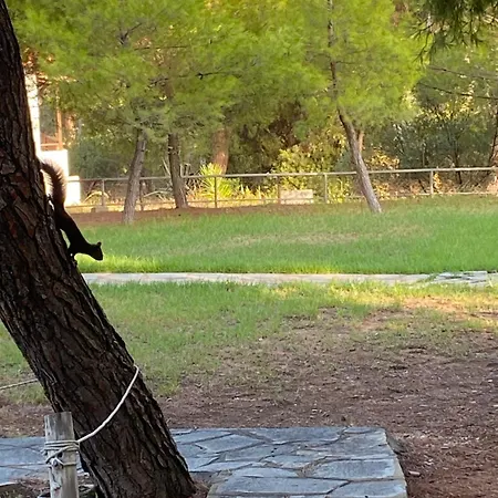 Dacha Na - Summer By The Sea Никити