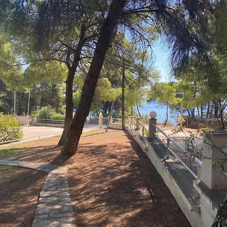 Dacha Na - Summer By The Sea Vakantiehuis *